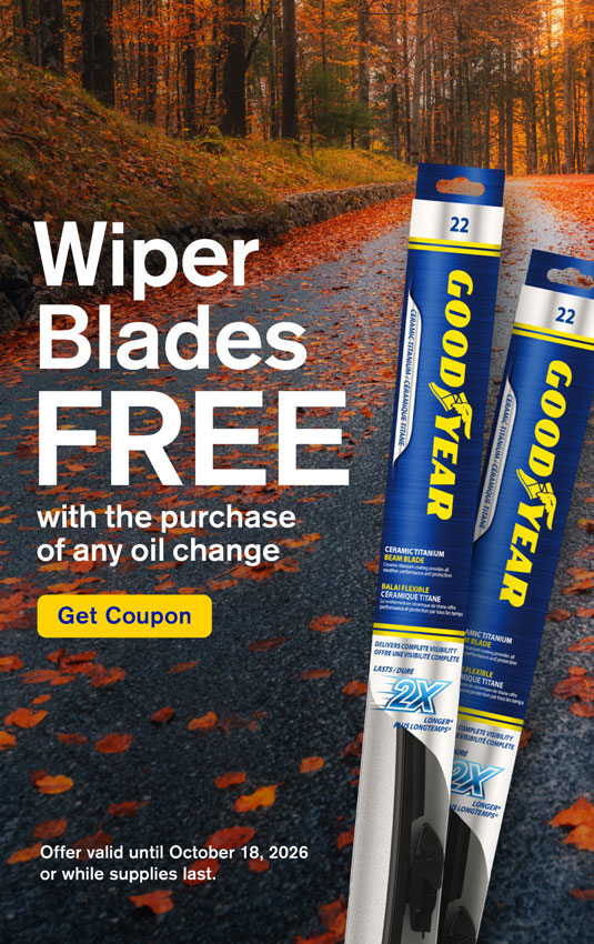 Mr. Lube + Tires EV Auto Care. Preventative maintenance. Tire sales and service. Skilled technicians. Find a store