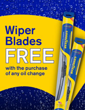 Fall Wipers 2025