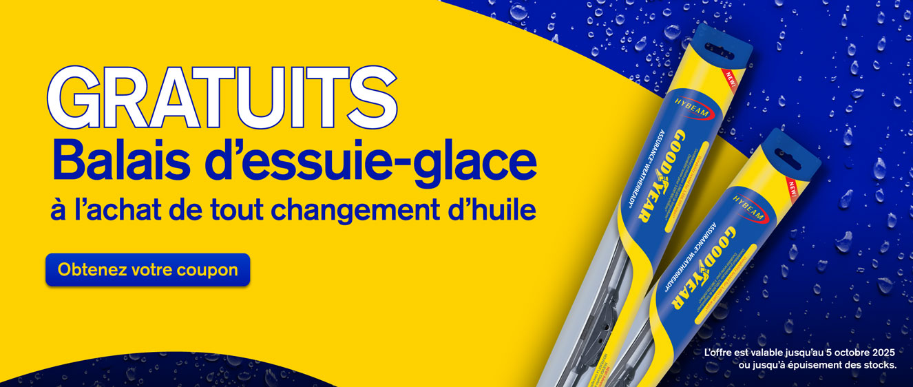 Promo dessuie-glace