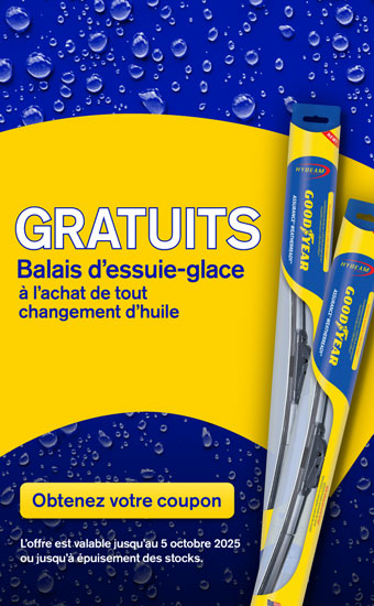 Promo dessuie-glace
