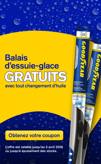 Promo dessuie-glace