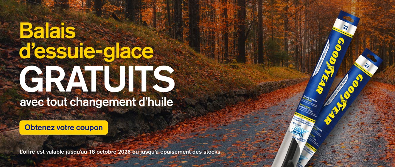 Promo dessuie-glace