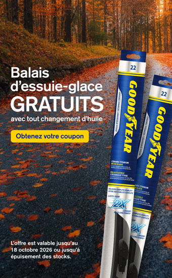 Promo dessuie-glace